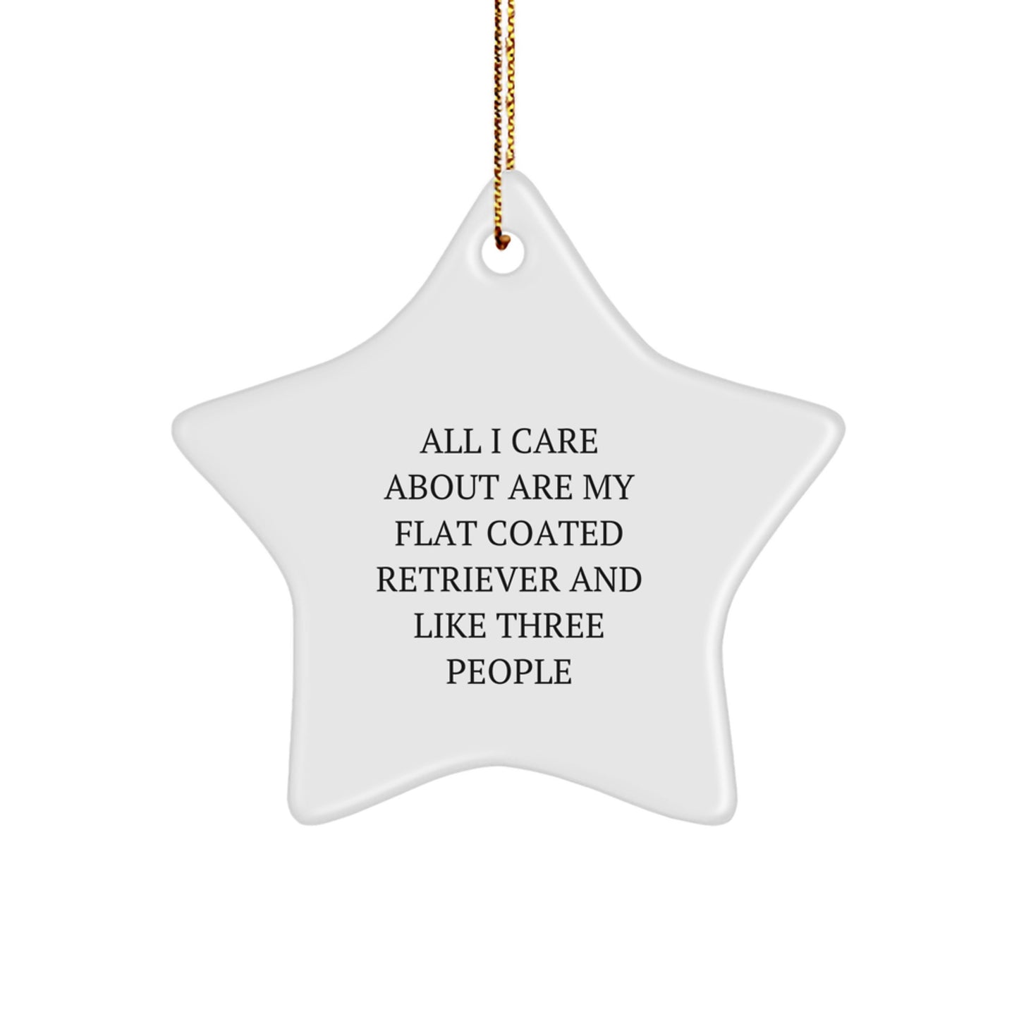 Flat Coated Retriever Dog Lovers Gifts from Family - 'All I Care About Are My Flat Coated Retriever And Like Three People' Funny Star Ornament for Christmas - Image 1