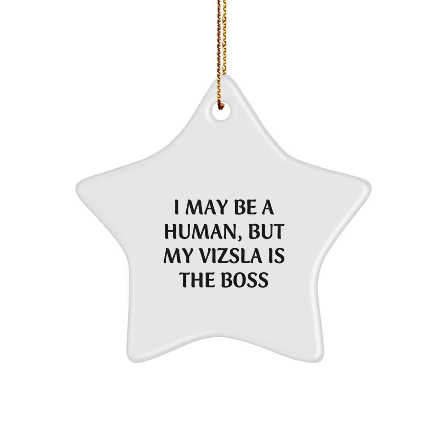 Funny Vizsla Dog Gifts for Women, Star Ornament by I May Be A Human, But My Vizsla Is The Boss, Christmas Unique Gifts from Men - Image 1