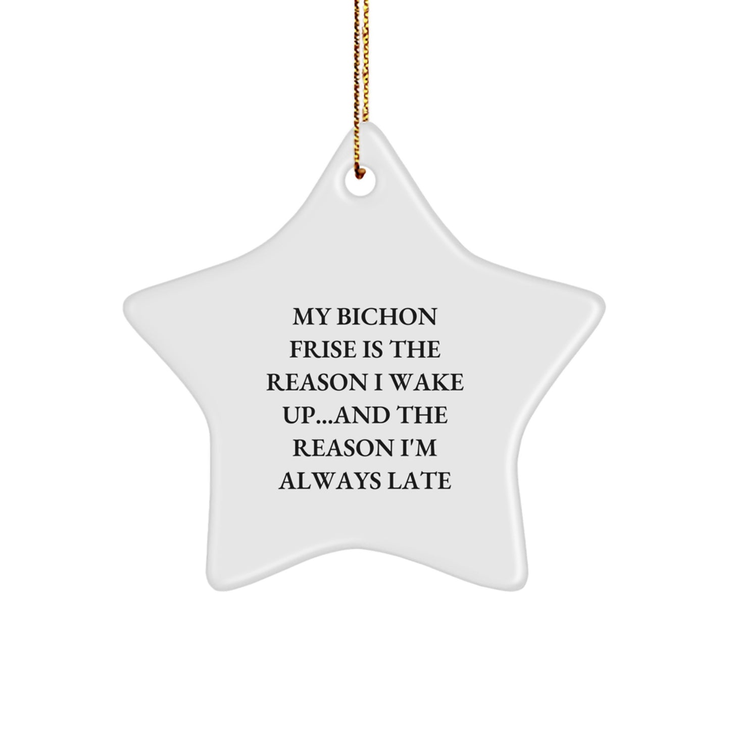 Bichon Frise Dog Lover Christmas Star Ornament Funny Gift for Men Women Friends Family - Image 1