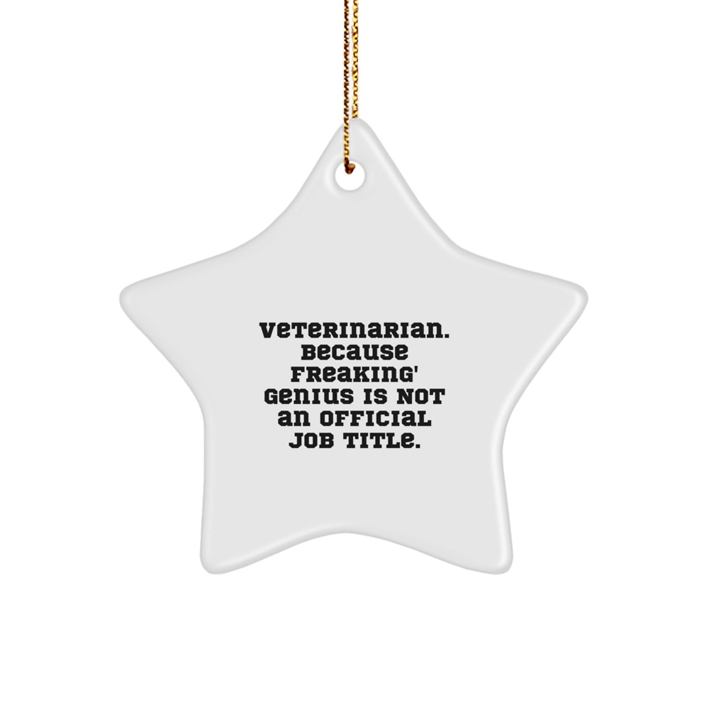 Funny Star Ornament Gifts from Men to Women Veterinarian Friends and Family for Christmas Unique Presents - Image 1