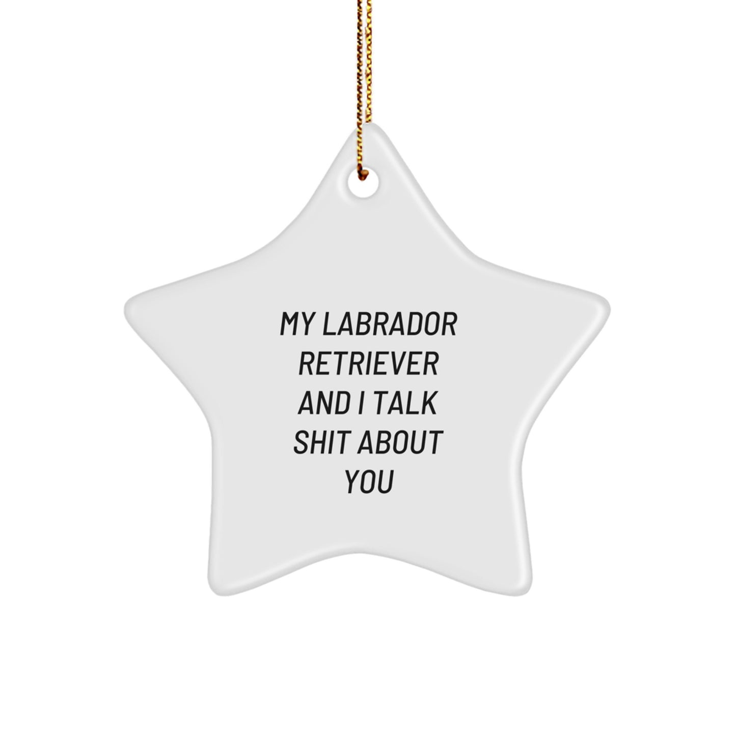 Labrador Retriever Dog Funny Christmas Unique Gifts from Friends for Labrador Retriever Dog Owners, Star Ornament, My Labrador Retriever And I Talk Shit About You - Image 1