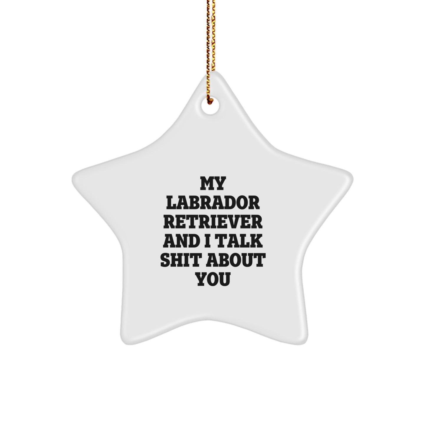 Labrador Retriever Dog Lover Funny Gift, 'My Labrador Retriever And I Talk Shit About You' Christmas Unique Star Ornament for Him, Her, Men, Women, Friends, Family - Image 1