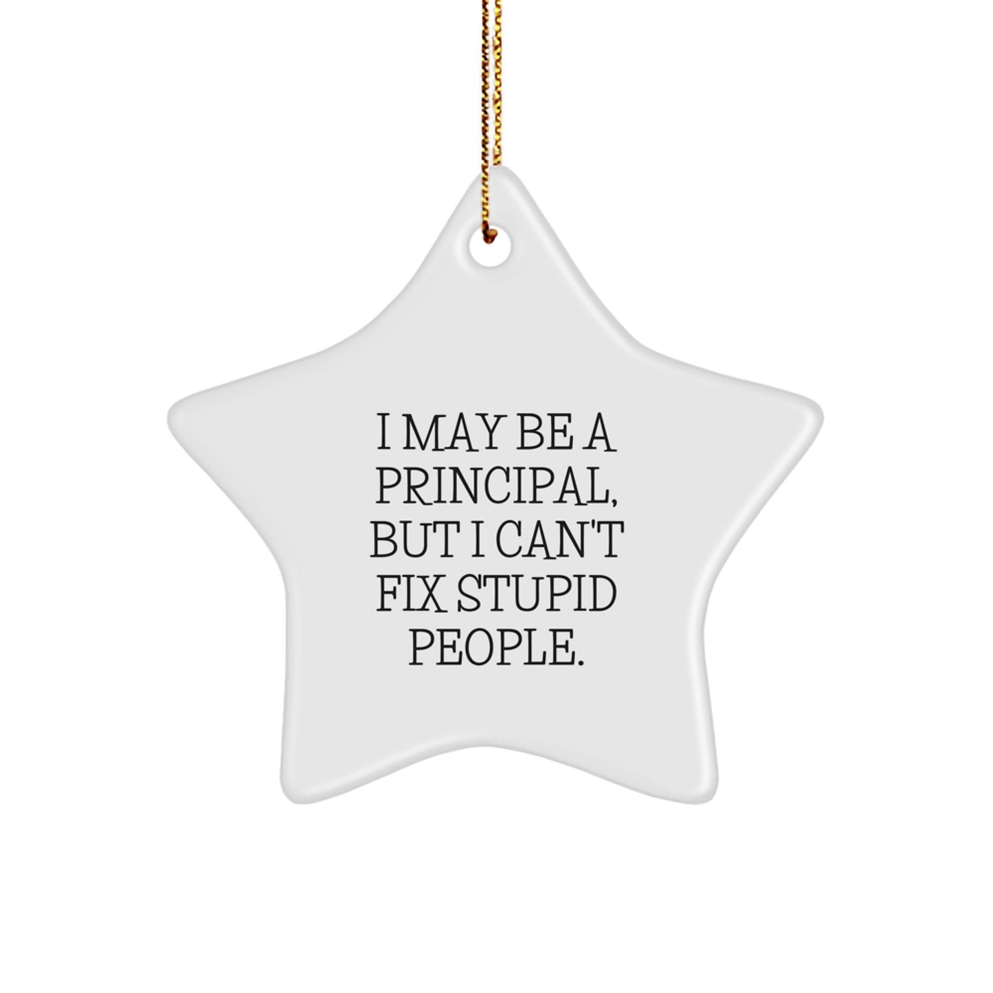 Funny Principal Star Ornament Gifts from Friends and Family - I May Be A Principal, But I Can't Fix Stupid People., Unique Principal Gifts for Men, Women, and Coworkers - Christmas Star Decoration - Image 1