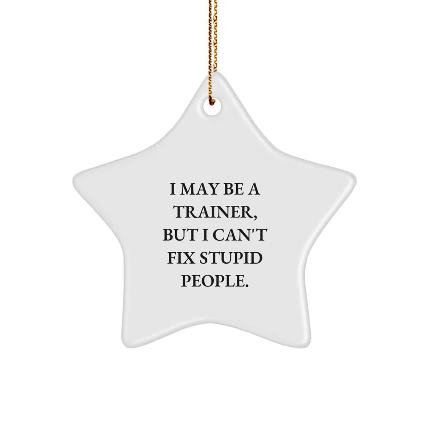 Funny Trainer Gifts from Friends, Inspirational Star Ornament for Men, Women, and Coworkers - I May Be A Trainer, But I Can't Fix Stupid People. - Image 1