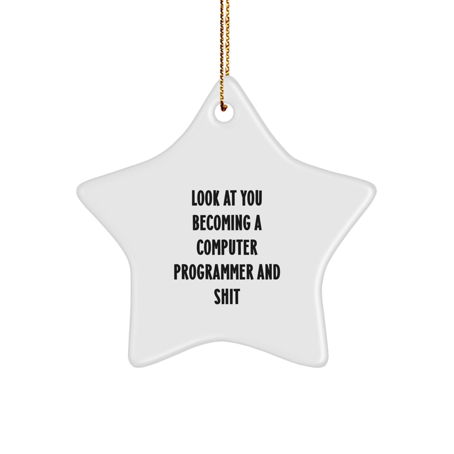 Funny Computer Programmer Gifts, Star Ornament for Men, Women, Friends, Coworkers, Family, 'Look At You Becoming A Computer Programmer And Shit' Quote, Christmas Unique Gifts from Friends - Image 1