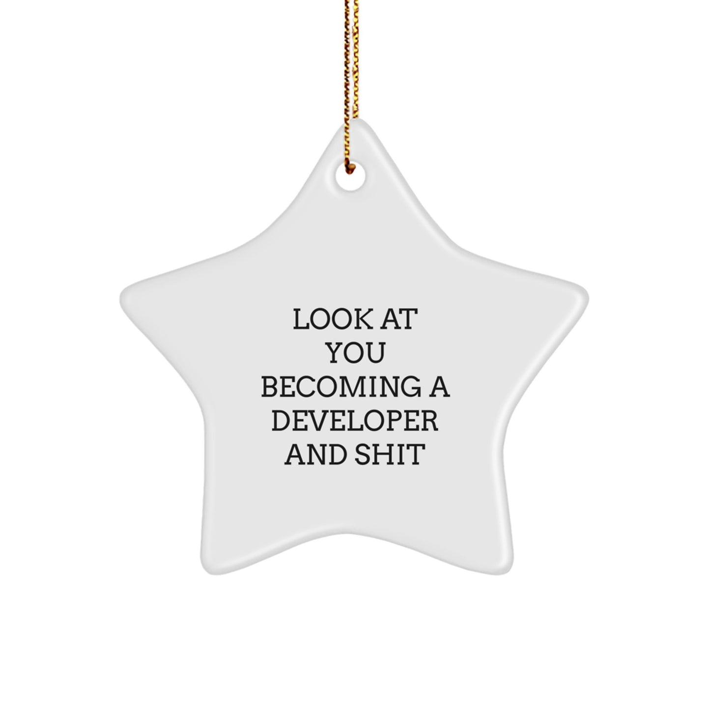Developer Gifts from Friends, Funny Star Ornament for Him or Her, 'Look At You Becoming A Developer And Shit' Christmas Unique Gifts - Image 1