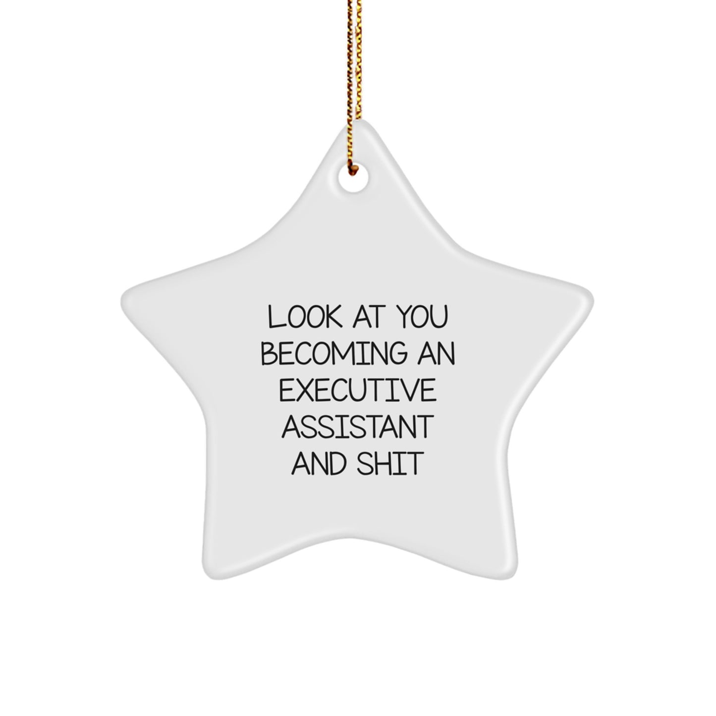 Executive Assistant Gifts from Friends, Funny Star Ornament for Her, Him, Coworkers, Family - 'Look At You Becoming An Executive Assistant And Shit' Quote - Image 1