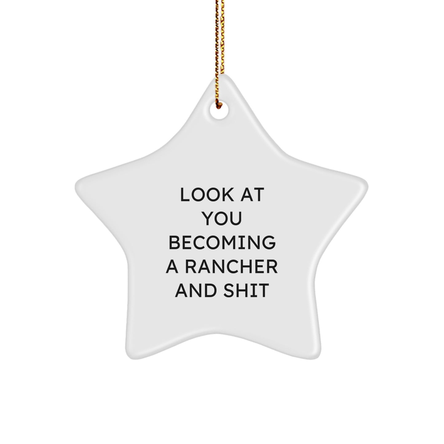 Funny Look at You Becoming a Rancher Star Ornament Gifts from Family for Christmas Rancher - Image 1