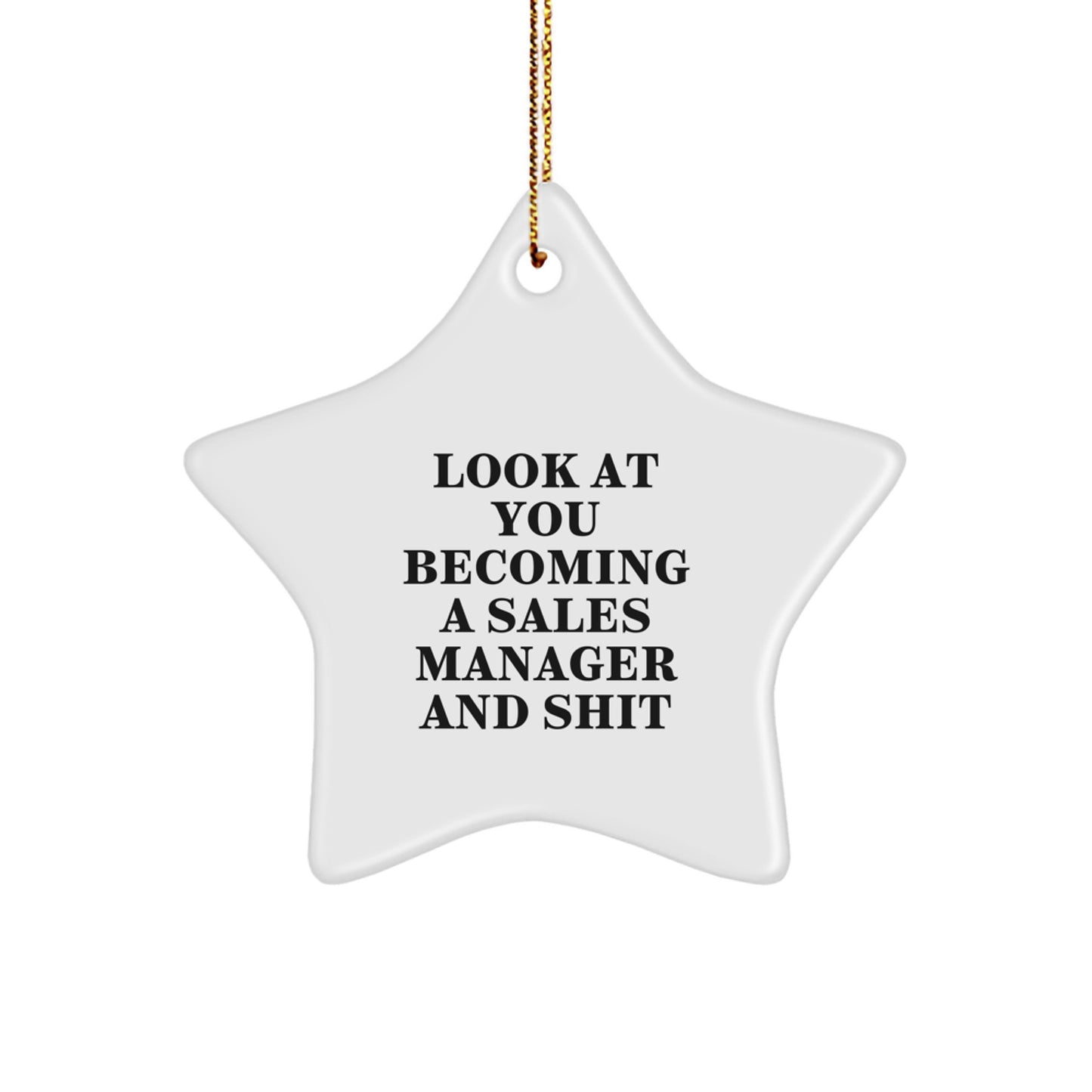 Funny Sales Manager Gifts, Gifts from Men to Sales Manager, Christmas Unique Star Ornaments for Him, 'Look At You Becoming A Sales Manager And Shit' Motivational Star Decoration - Image 1