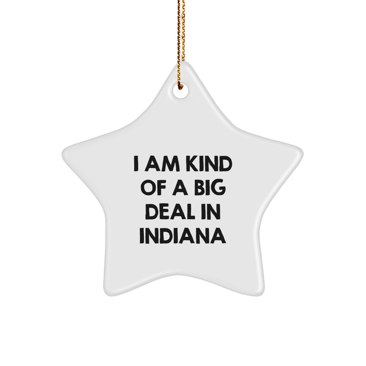 Funny Indiana Gifts from Hoosiers - I Am Kind Of A Prime Selection In Indiana Star Ornament for Christmas Unique Gifts for Men Women Friends Family - Image 1