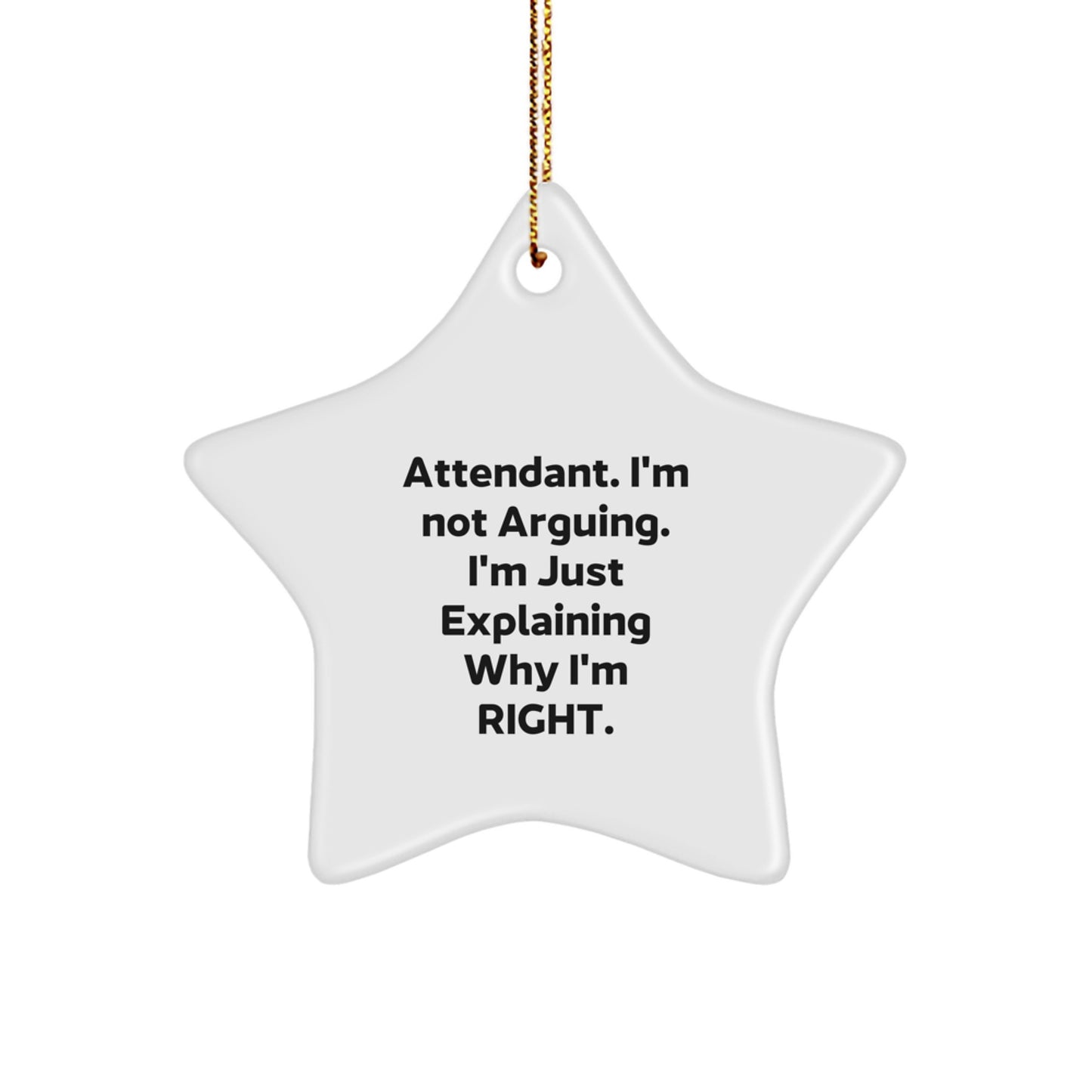 Funny Attendant Gifts from Friends, Star Ornament Christmas Unique Presents, I'm Not Arguing. I'm Just Explaining Why I'm Right. Decorations - Image 1