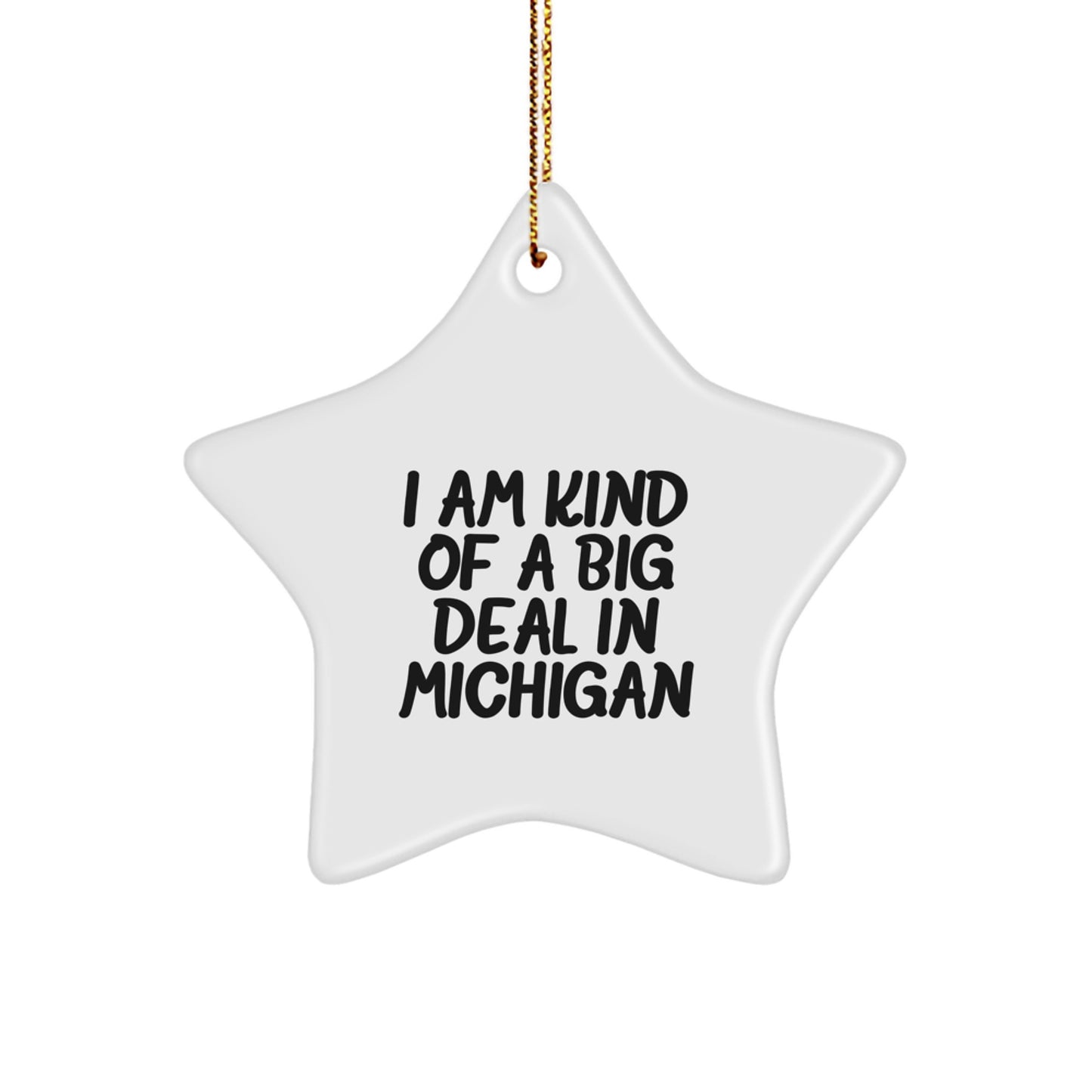 Unique Michigan Star Ornament Gifts from Family, Friends, or Coworkers for Men, Women, Michigan Enthusiasts, or Mitten State Lovers - I Am Kind Of A Prime Selection In Michigan - Image 1