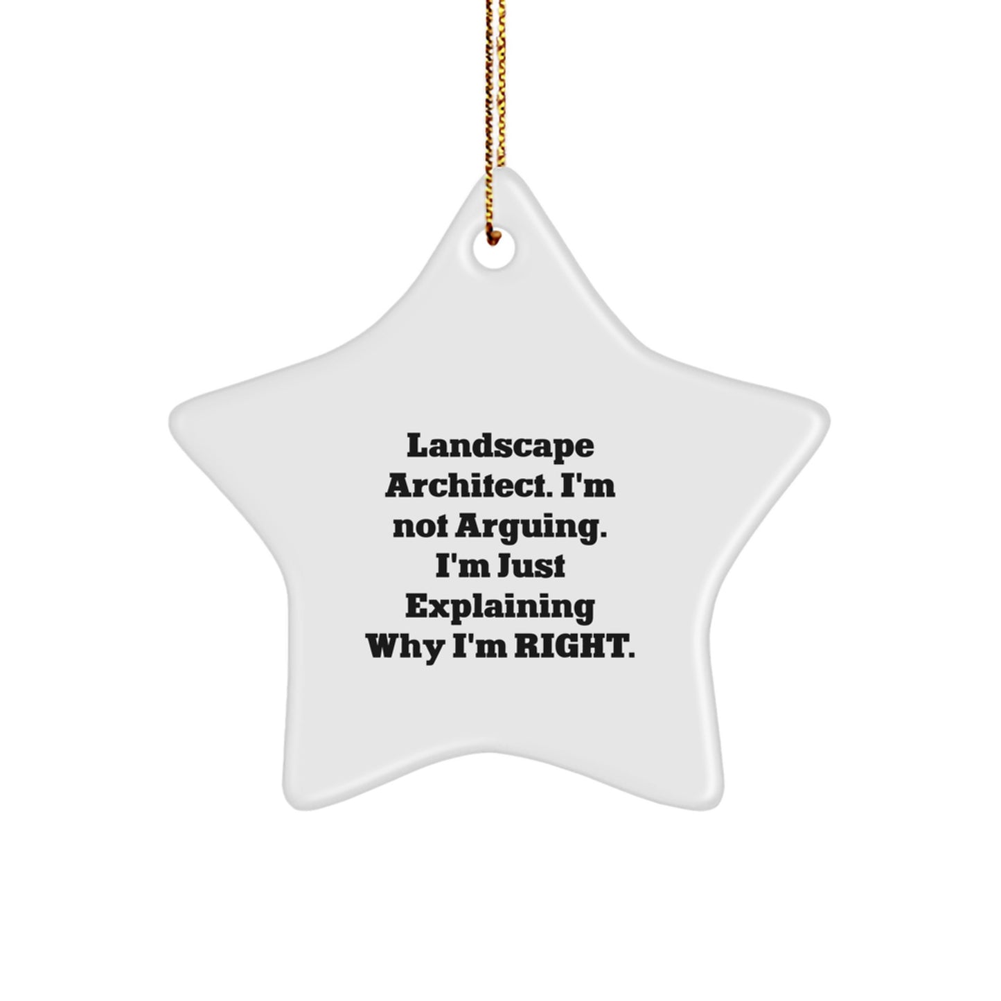 Funny Landscape Architect Star Ornament Gifts for Men from Friends - 'I'm Not Arguing. I'm Just Explaining Why I'm Right.' - Image 1