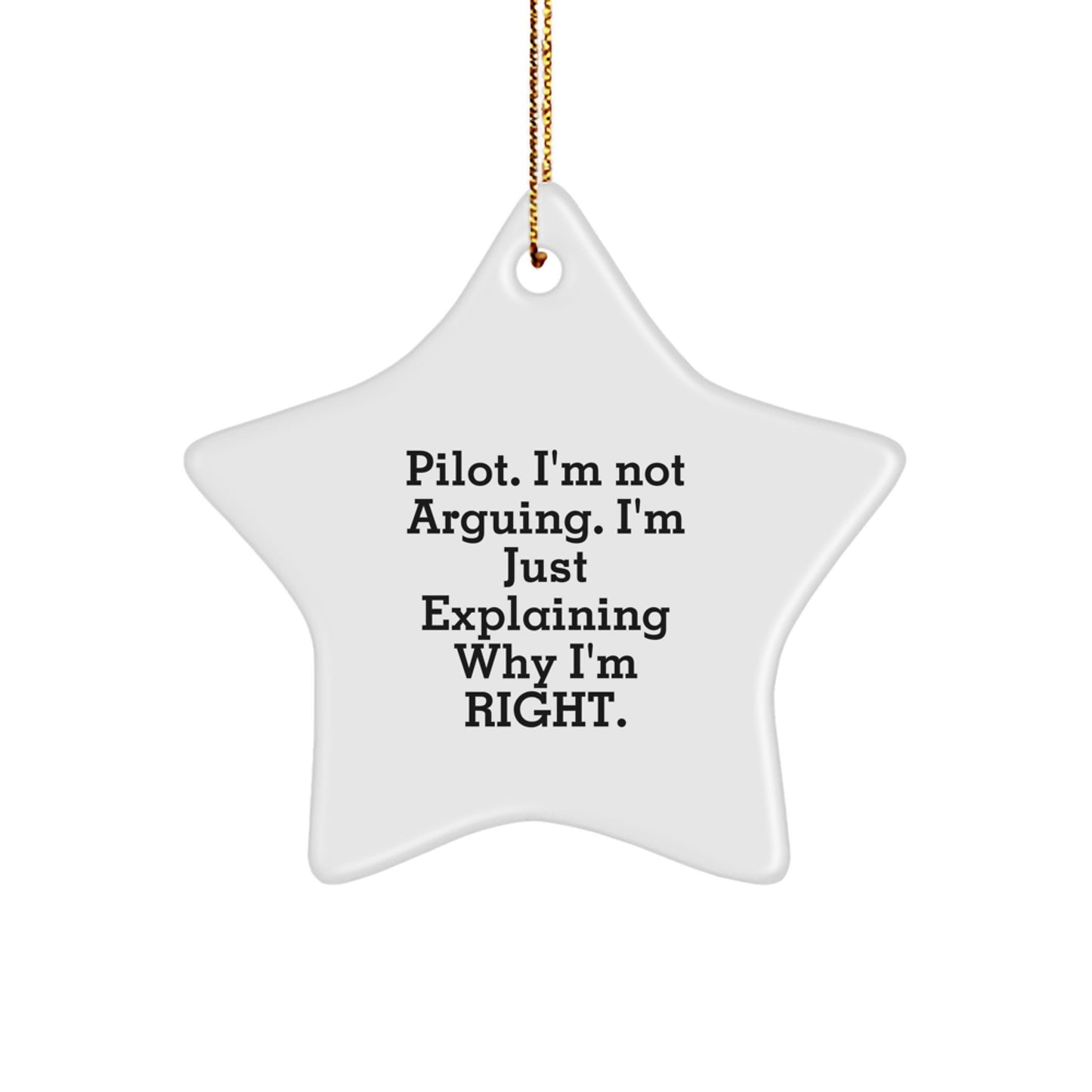 Funny Pilot Star Ornament Gifts from Friends for Pilot Men and Women, Christmas Unique Gifts, Star Shaped Decorations, Explaining Why I'm Right Quote - Image 1
