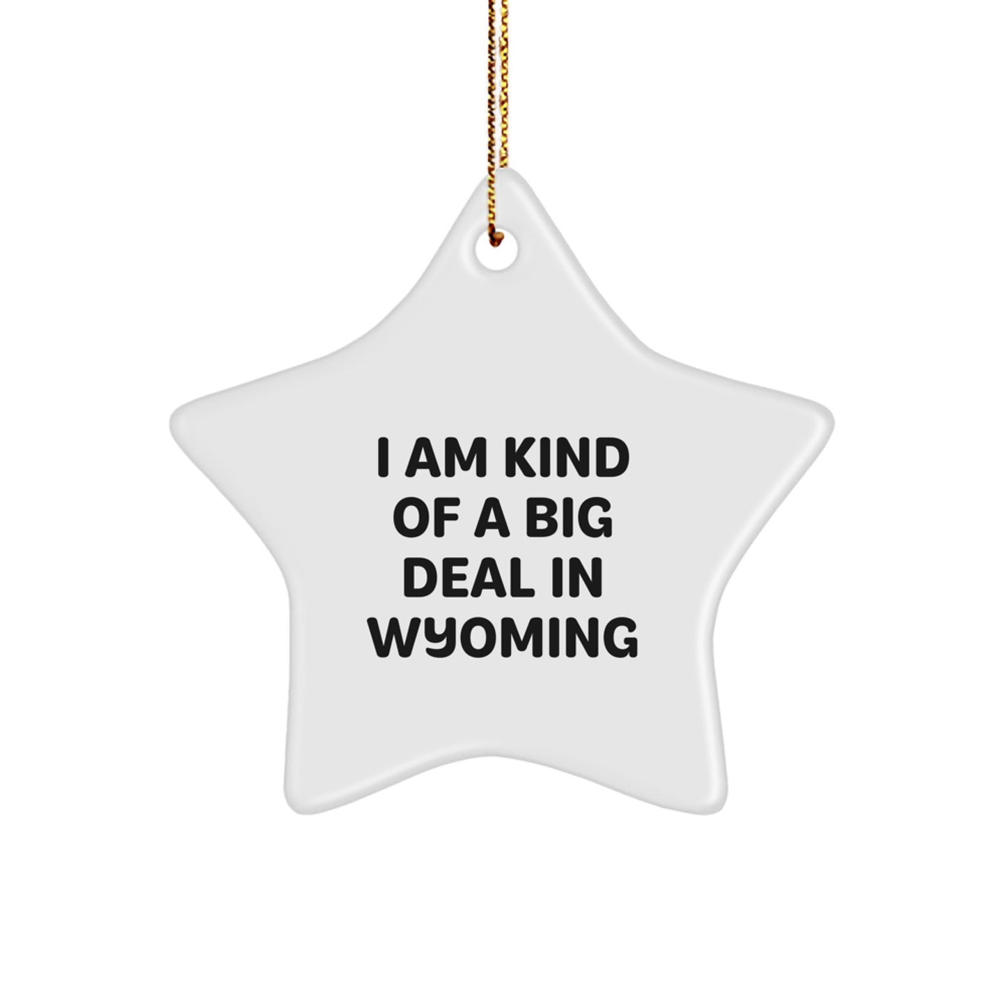 Wyoming Star Ornament, Funny Quote Gifts from Men to Friends for Christmas - Image 1