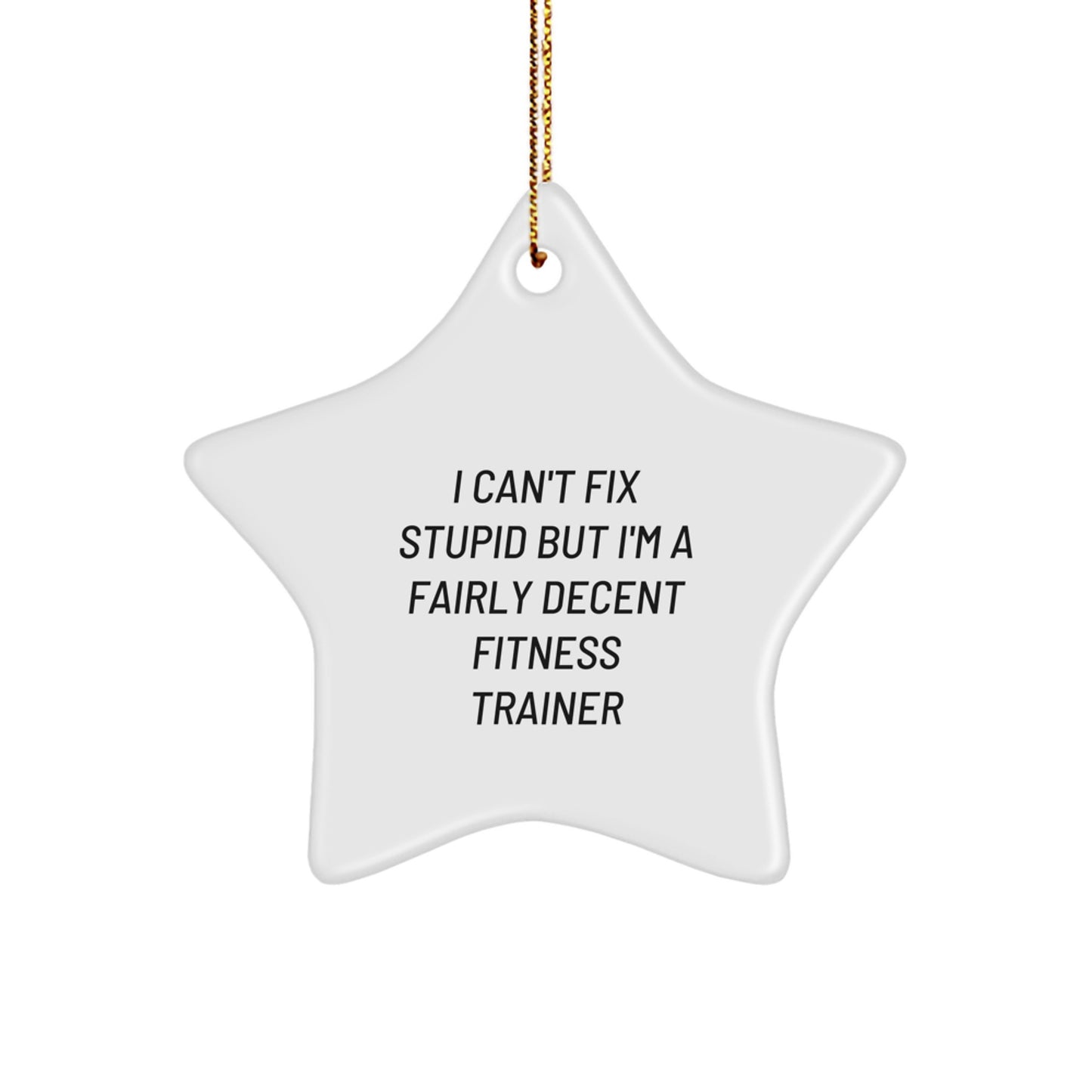 Funny Fitness Trainer Gifts from Friends for Christmas Star Ornament, I Can't Fix Stupid But I'm A Fairly Decent Fitness Trainer Humorous Christmas Unique Gifts, Fitness Trainer Star Ornament - Image 1