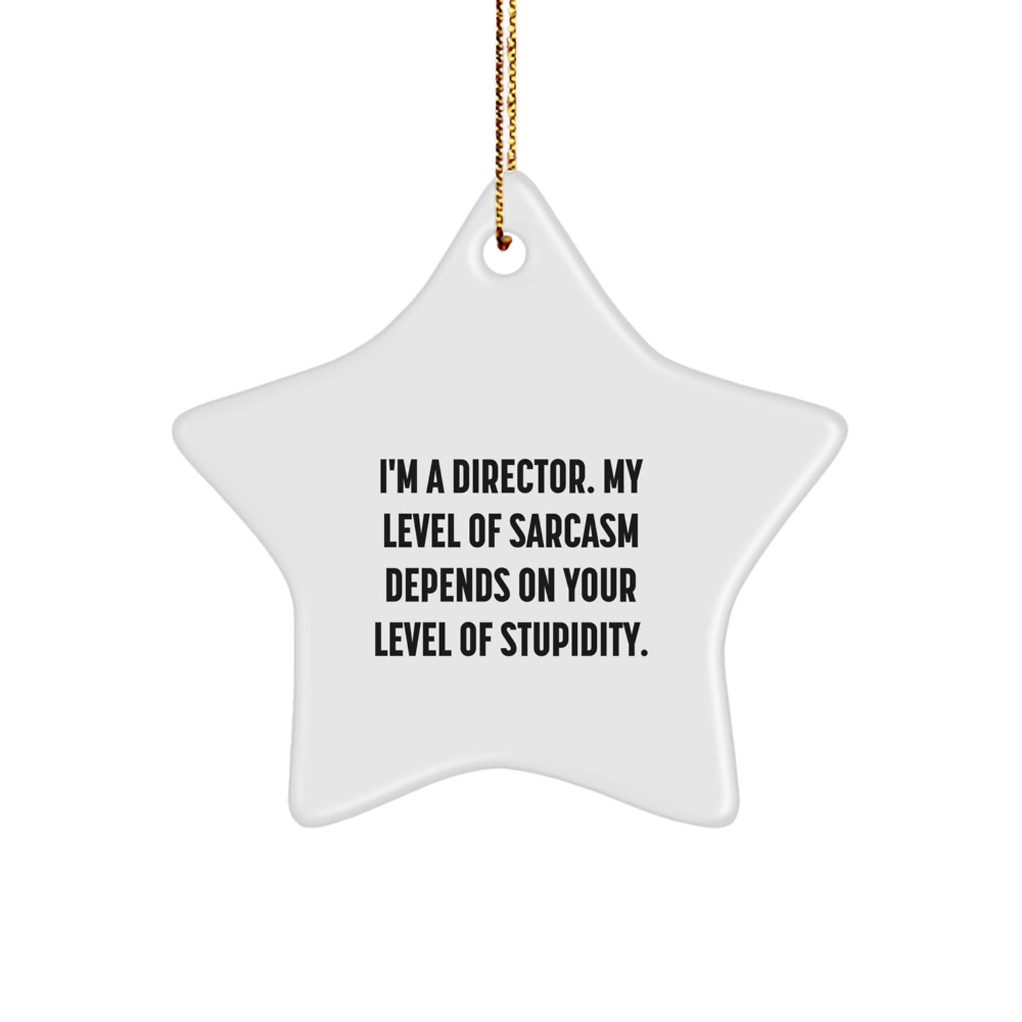 Funny Gifts from Friends for Director Star Ornament, Sarcasm Level Decoration, Christmas Unique Gifts - Image 1