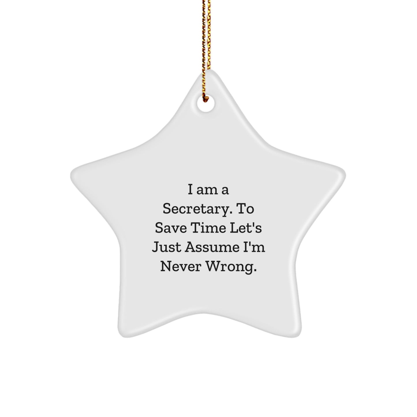 Secretary's Humor, Funny Star Ornament Gifts from Friends, for Christmas Decor - Image 1
