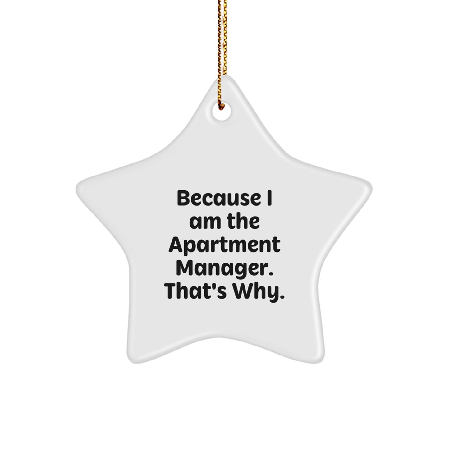 Funny Inspirational Gifts from Friends for Apartment Manager Star Ornament Christmas Unique Decorations - Image 1