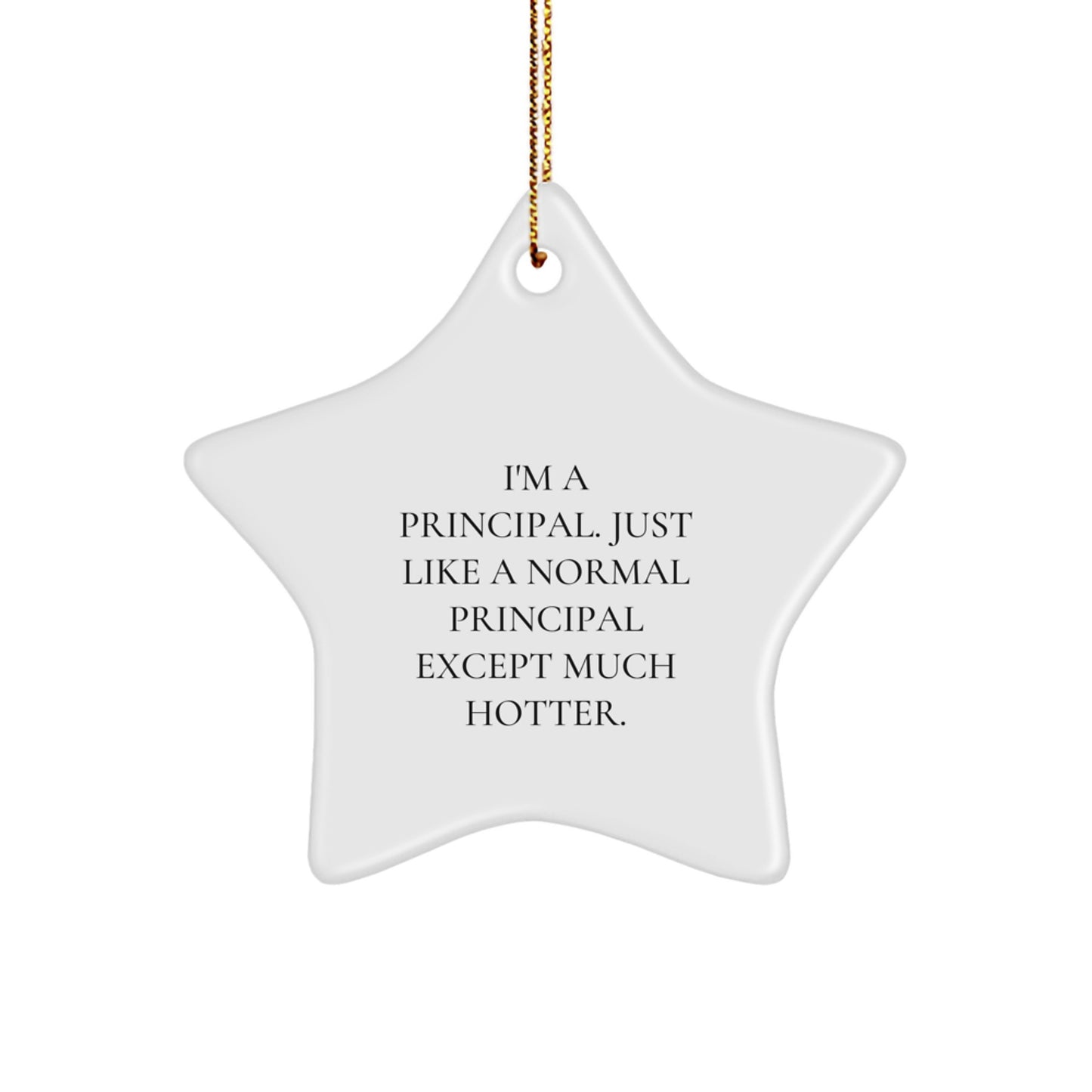Funny Principal Gifts for Men - I'm A Principal Star Ornament, Unique Christmas Memorable Presents, Hotter Than Normal Principals, Gifts from Men to Principal, Principal's Christmas Star Decoration - Image 1