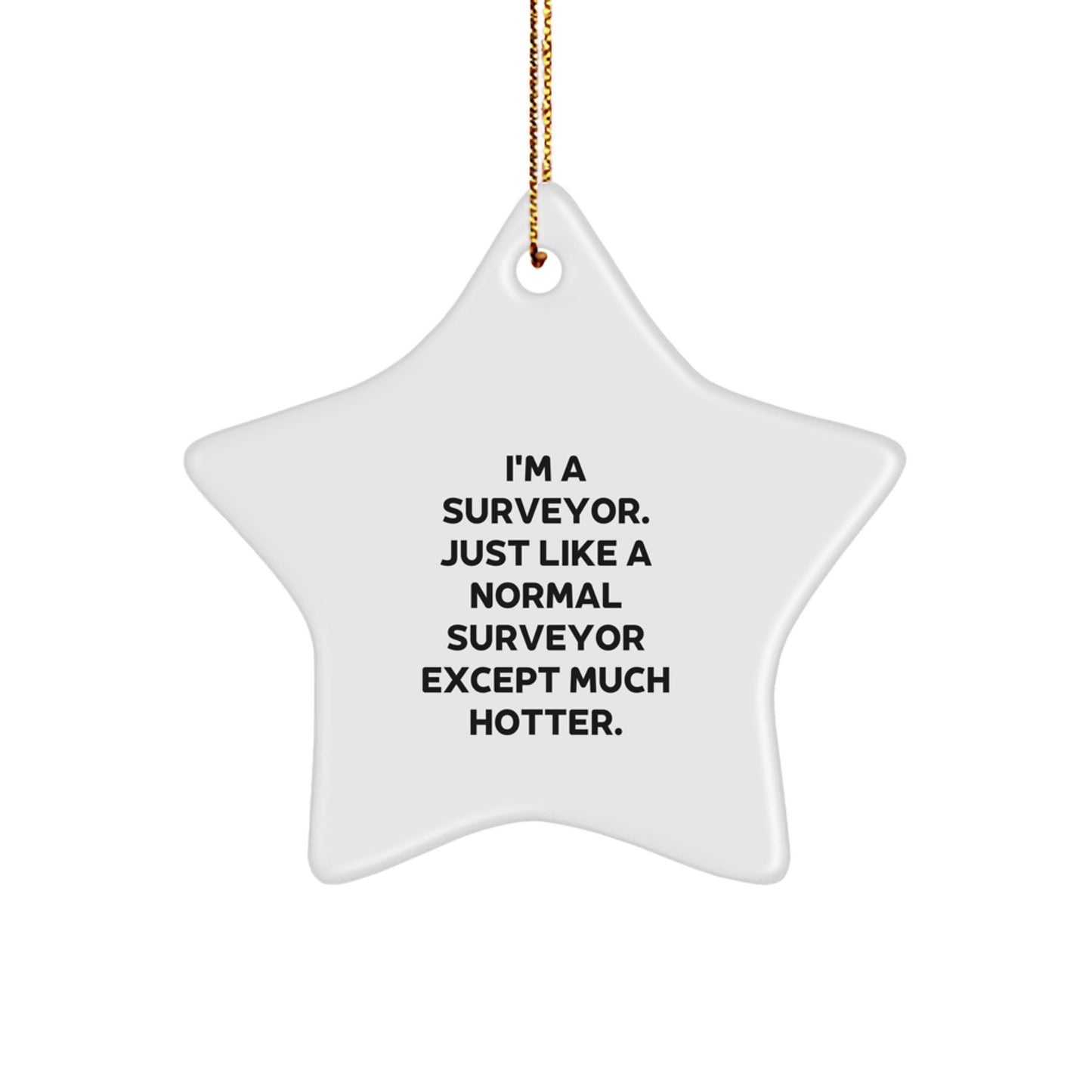 Funny Surveyor Gifts for Men from Friends - Unique Star Ornament Decorations for Christmas - Image 1
