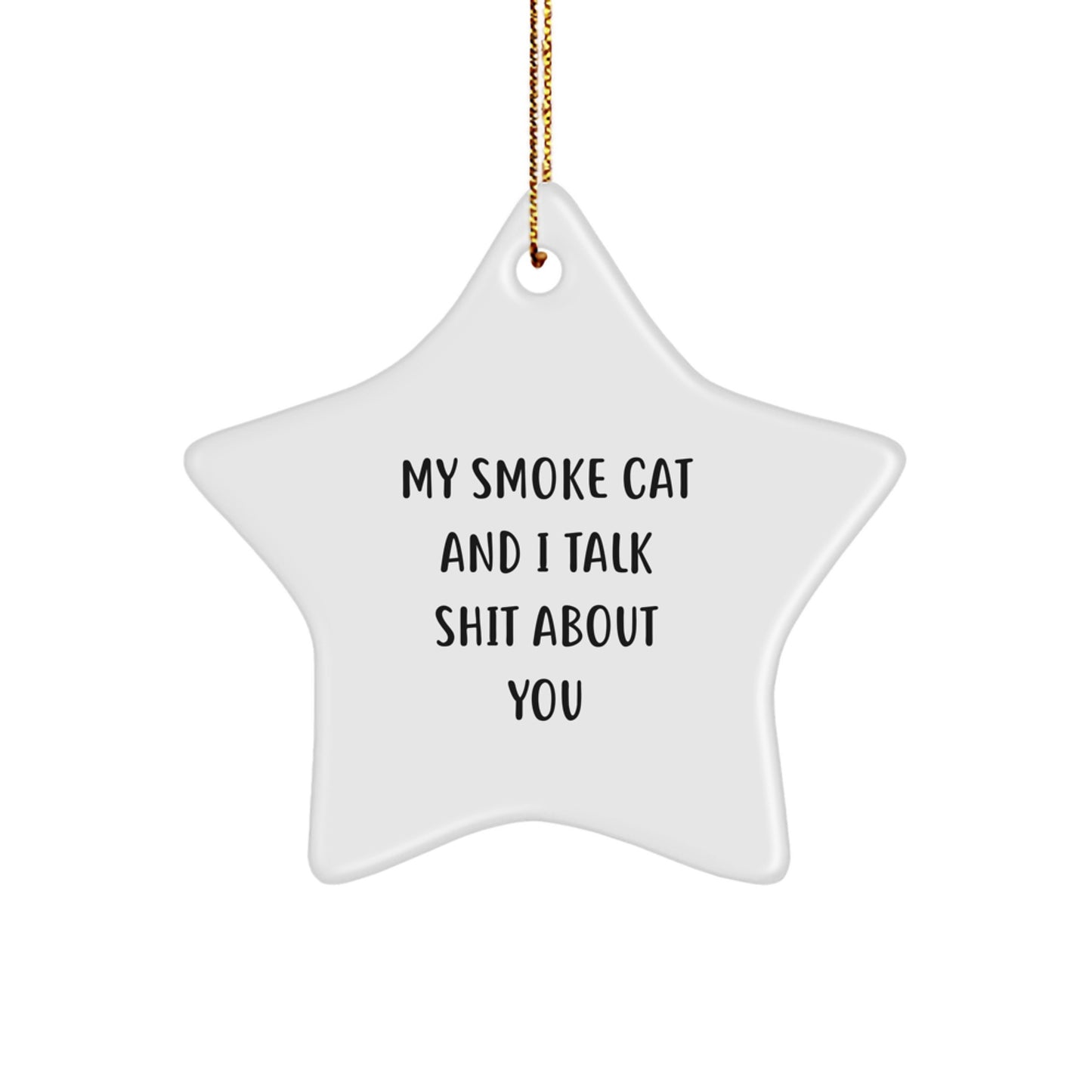 Funny Smoke Cat Star Ornament Gifts for Smoke Cat Lovers from Family Friends, My Smoke Cat And I Talk Shit About You Christmas Decorations - Image 1