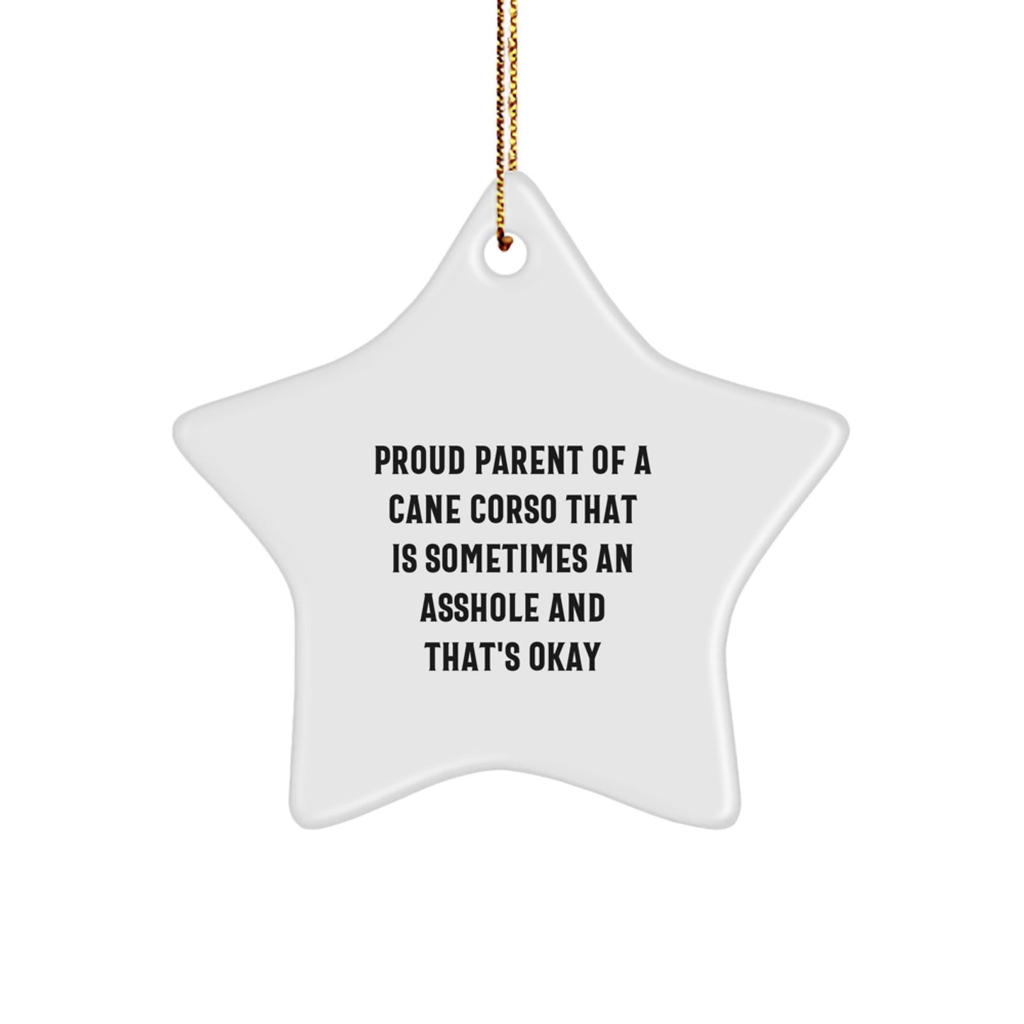 Funny Cane Corso Dog Lover Gifts from Friends, Funny Christmas Unique Gifts for Cane Corso Dog Owners, White Star Ornament - Proud of My Cane Corso Dog - Image 1