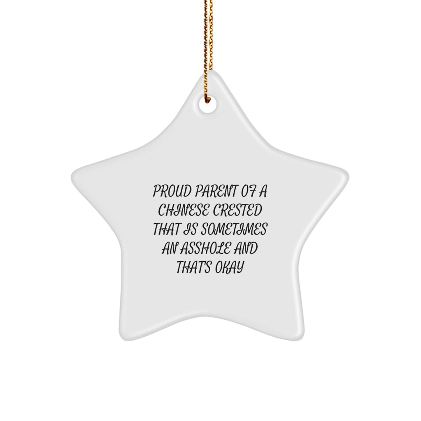 Funny Chinese Crested Dog Gifts from Men to Friends - Chinese Crested Dog Star Ornament for Christmas - Image 1