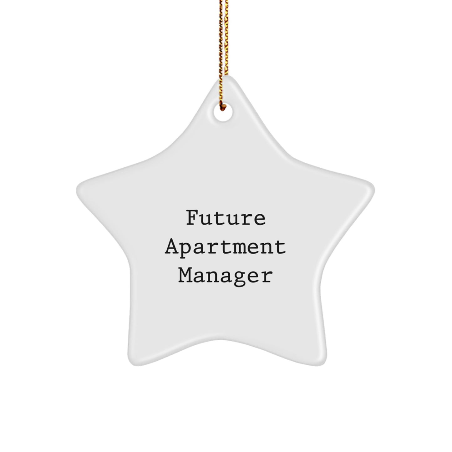Funny Quote for Future Apartment Manager, Star Ornament Gifts from Men to Friends, Beautiful White Color, 3.25" Tall, Perfect for Christmas Unique Gifts - Image 1