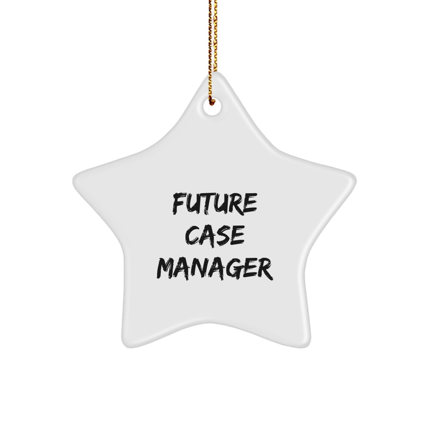 Funny Future Case Manager Gifts from Family - Case Manager Star Ornament, Gifts for Case Manager at Christmas - Image 1