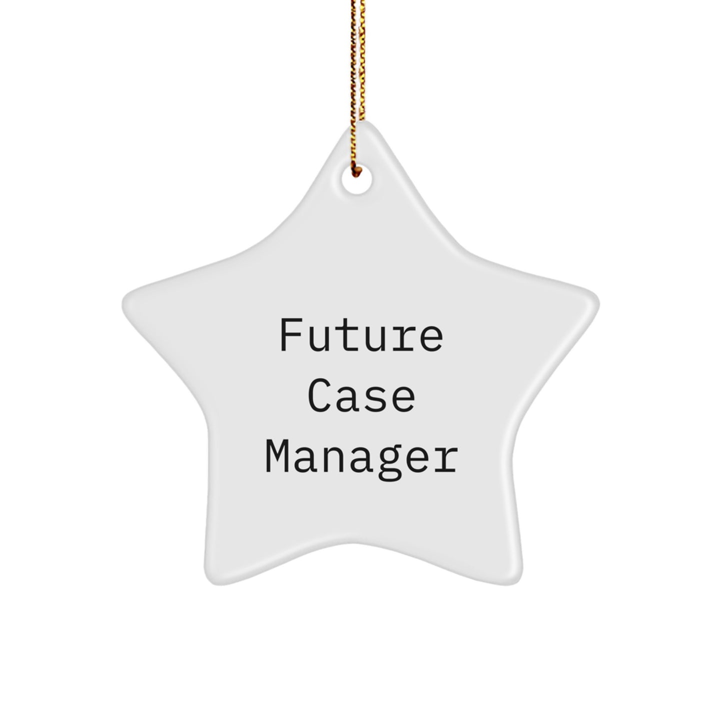 Funny Case Manager Gifts from Friends, Cute Star Ornament for Future Case Manager, Inspirational Christmas Unique Gifts for Case Manager - Image 1