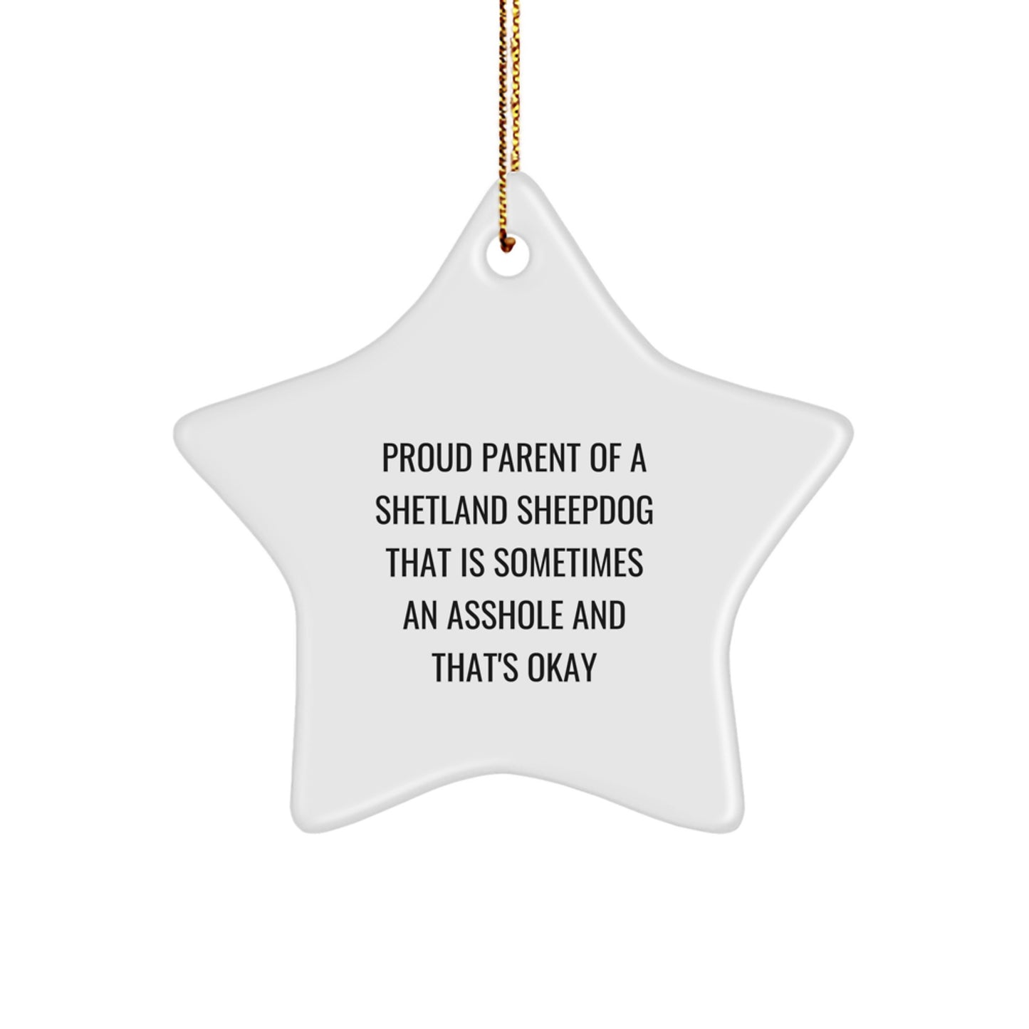 Funny Shetland Sheepdog Mom Gifts from Men for Shetland Sheepdog Lovers Christmas Unique Gifts - Image 1