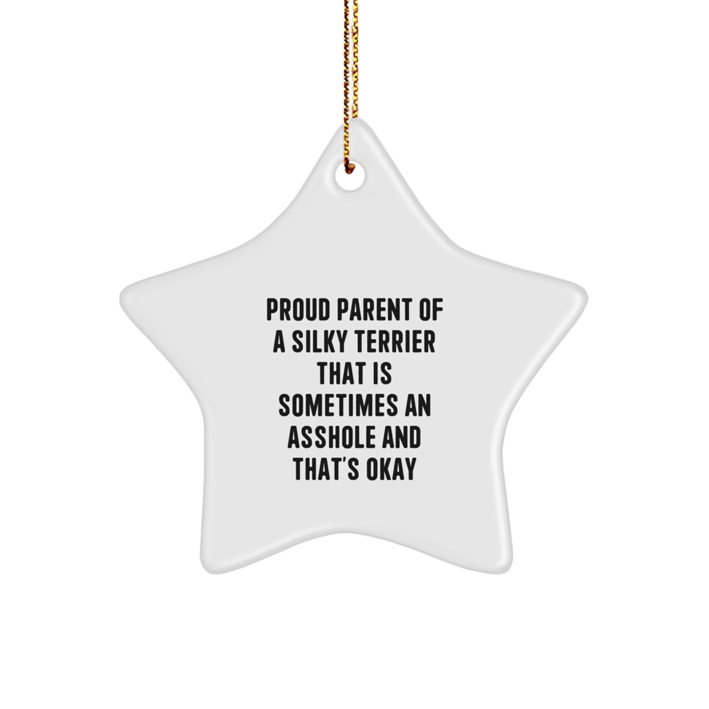 Funny Silky Terrier Dog Lover Gifts from Friends for Christmas Unique Star Ornament - Image 1