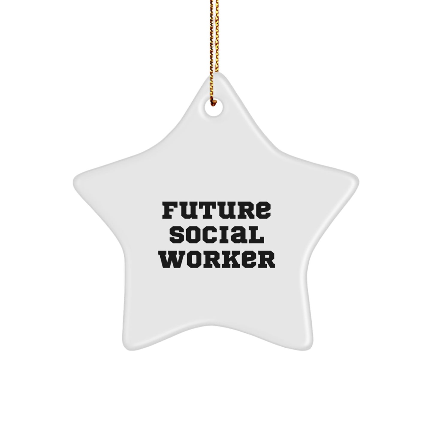 Social Worker Christmas Star Ornament Gifts from Friends for Future Social Worker - Image 1