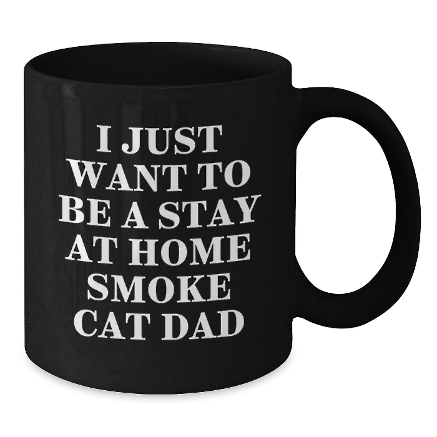 Funny Smoke Cat Dad Gifts from Friends for Graduation Unique Smoke Cat Mugs, 'I Just Want To Be A Stay At Home Smoke Cat Dad' Quote, Black Coffee Mug - Additional