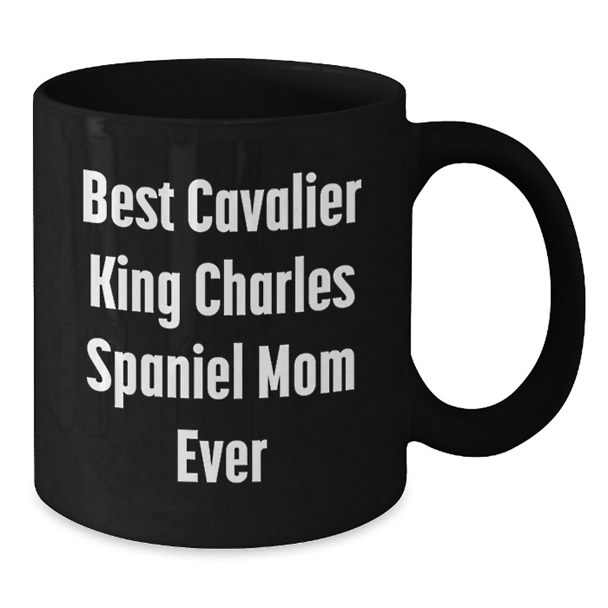 Funny Cavalier King Charles Spaniel Dog Mom Gifts for Birthday Unique Black Coffee Mug from Family - Additional