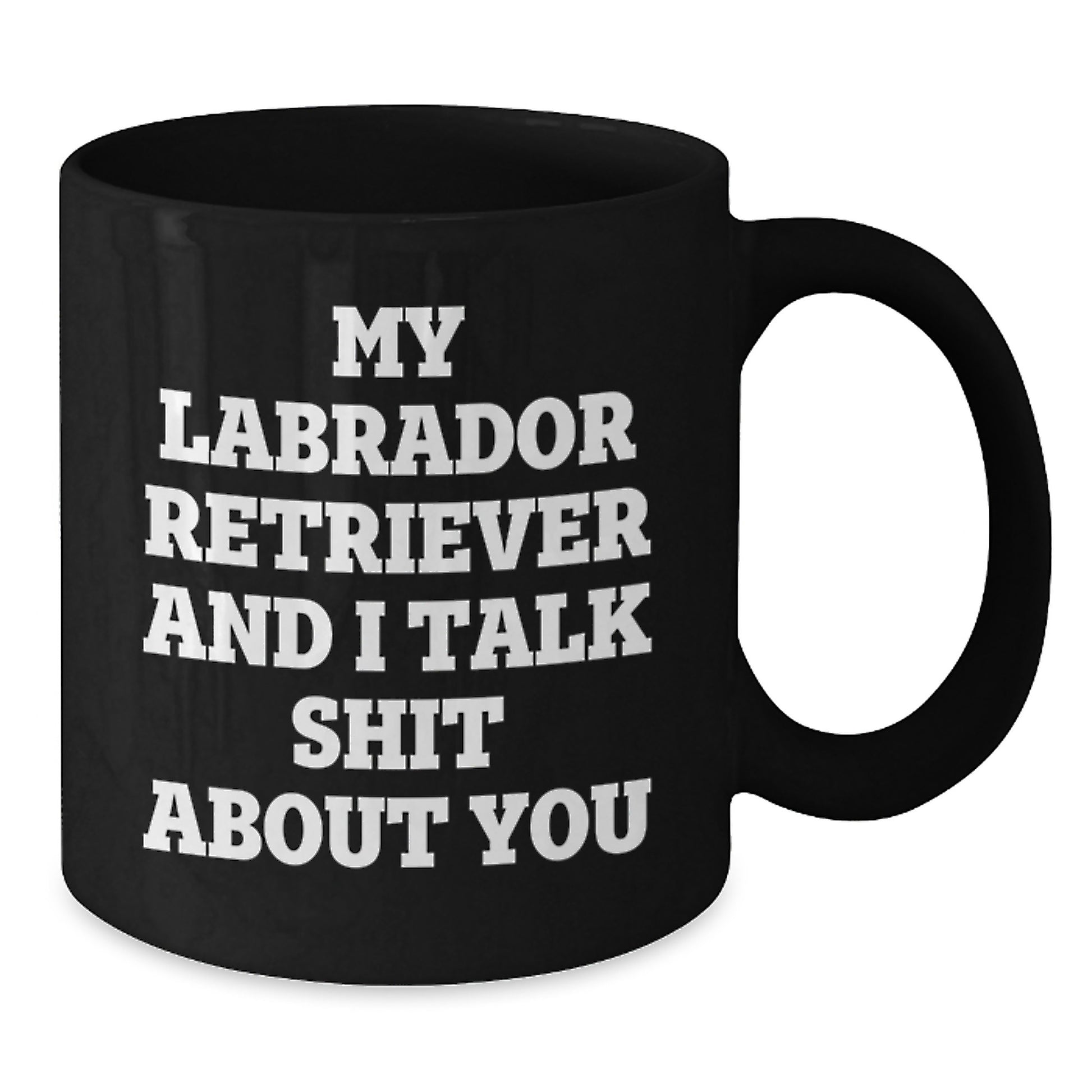 Funny Labrador Retriever Dog Gifts for Men - Unique Birthday Mug for Labrador Retriever Dog Owners from Family and Friends - My Labrador Retriever And I Talk Shit About You Coffee Mug - Additional