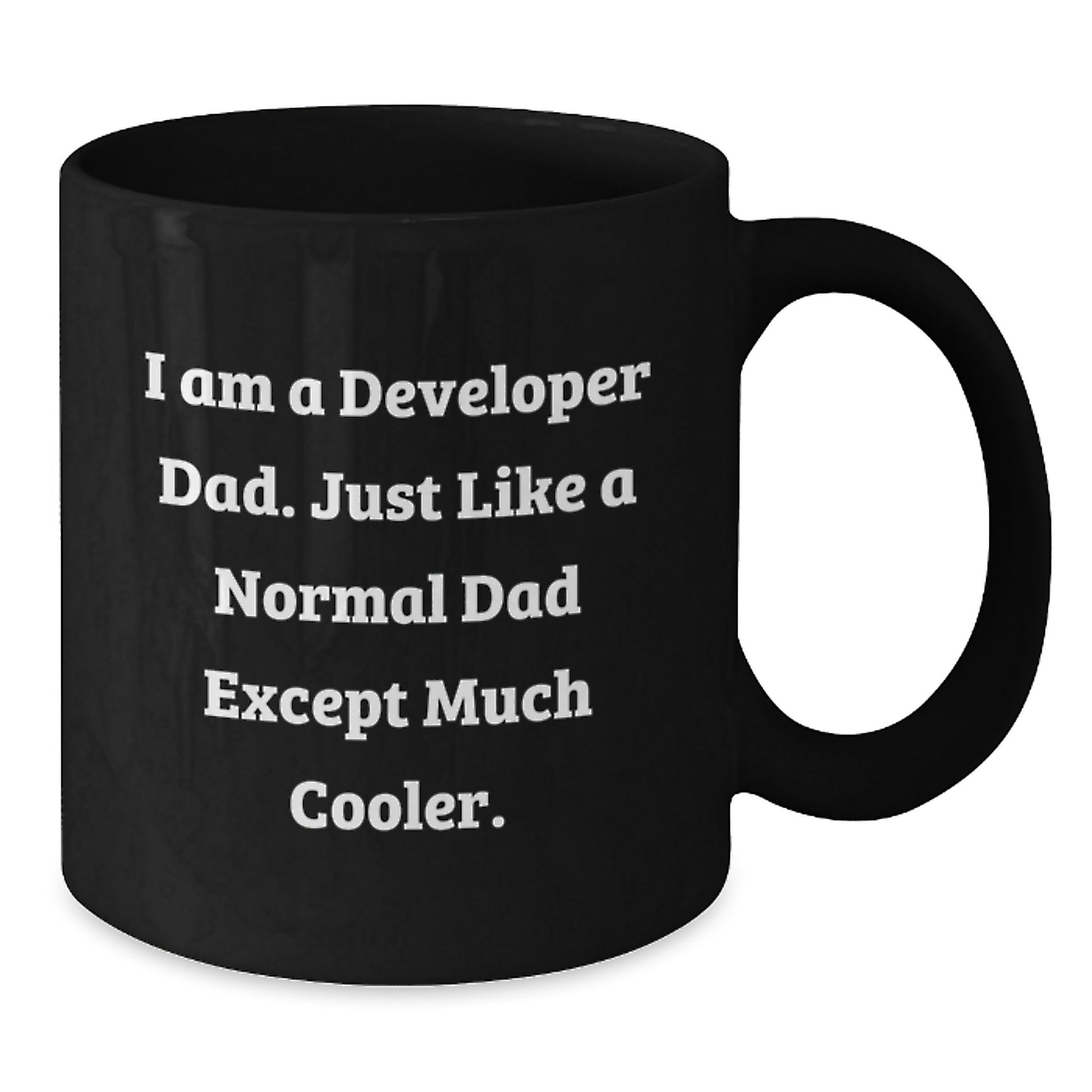 Cool Developer Dad Mug for Friends Birthday Gift - Additional