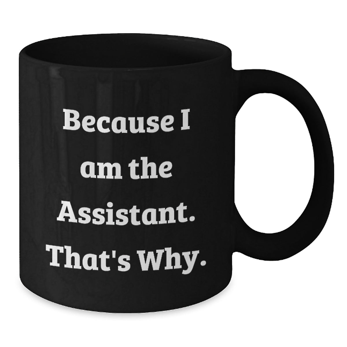 Christmas Gift for Her - Humorous Assistant Coffee Mug Present - Additional