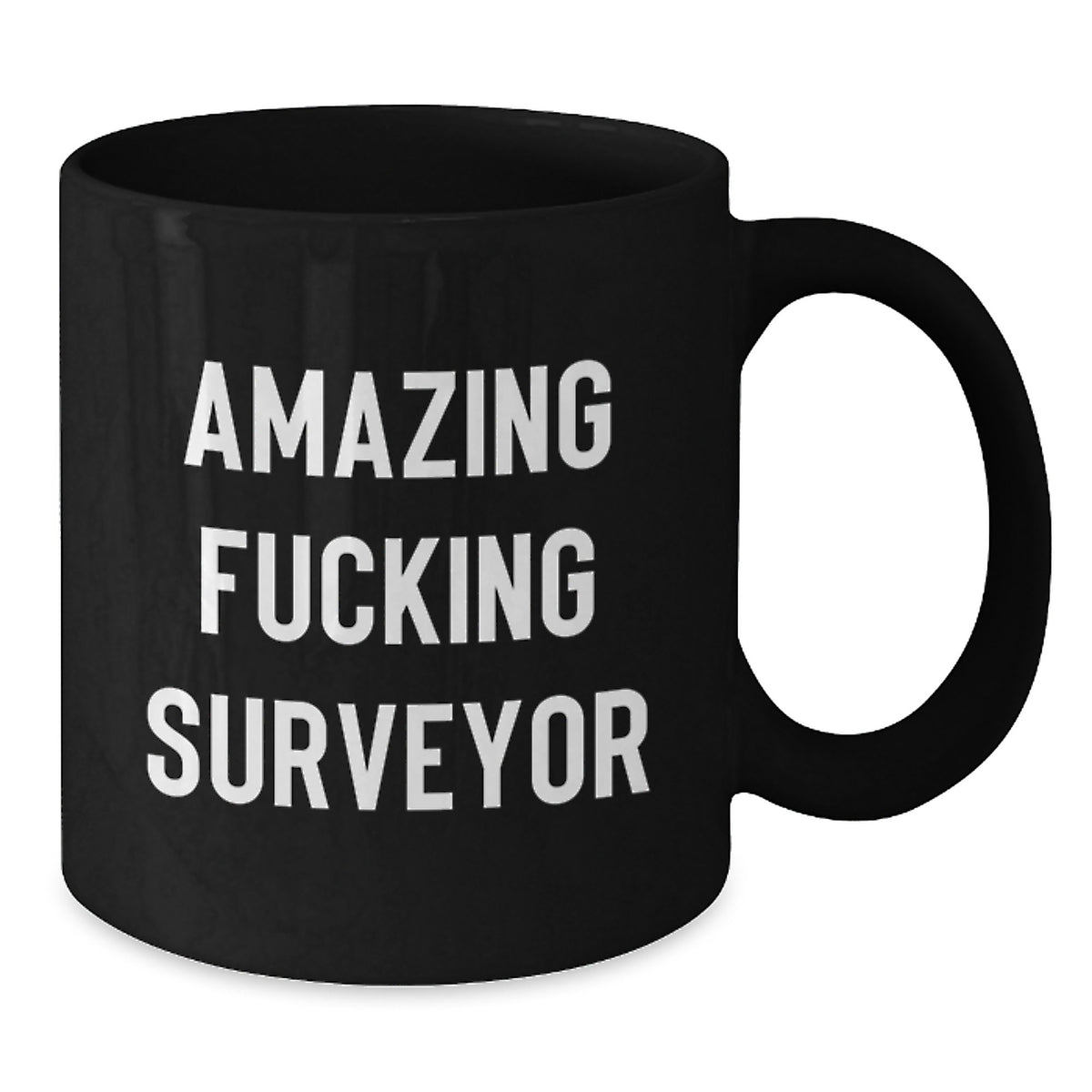 Surveyor Keepsake Gift for Him - Amazing Fucking Surveyor Coffee Mug - Additional