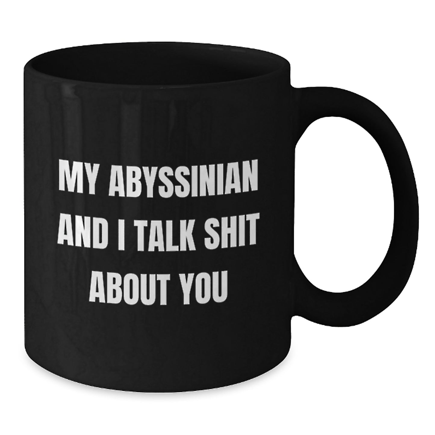Abyssinian Cat Lover's Humorous Valentine's Gift for Men or Women, Funny Black Coffee Mug, 'My Abyssinian And I Talk Shit About You' - Additional