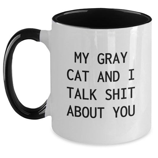 Funny Gray Cat Gifts from Friends - My Gray Cat And I Talk Shit About You Two Tone Coffee Mug for Birthday Unique Gifts - Main