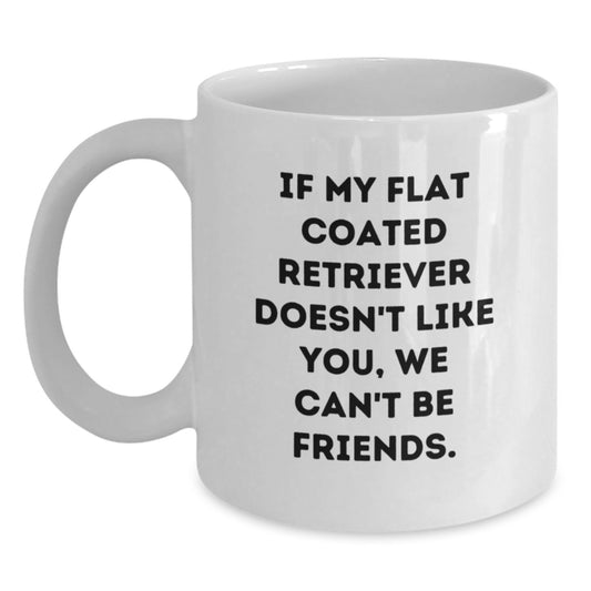 Funny Flat Coated Retriever Dog Birthday Unique Gifts, White Coffee Mug for Friends, Gifts from Women to Flat Coated Retriever Dog Lovers, Unique Birthday Unique Gifts for Men and Women - Main