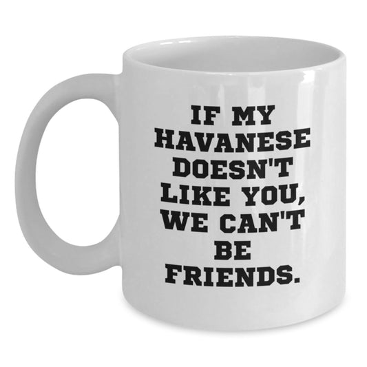 Funny Havanese Dog Lover Birthday Unique Gifts from Friends and Family for Havanese Dog Owners White Coffee Mug - Main