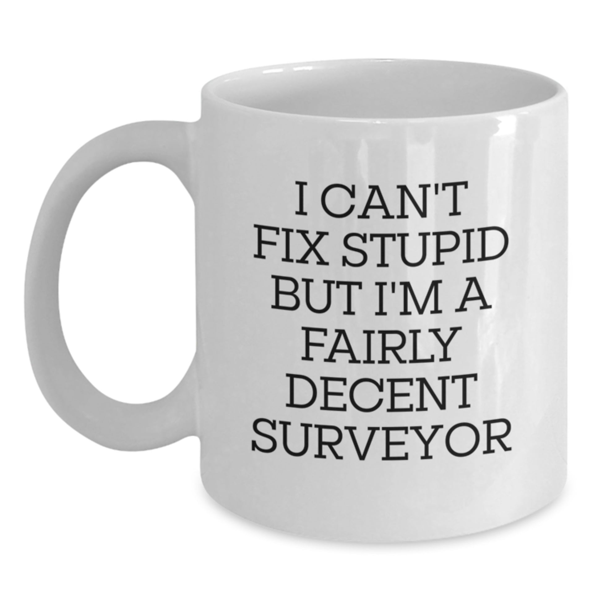 Funny Surveyor Gifts from Friends for Graduation, I Cant Fix Stupid But Im A Decent Surveyor White Coffee Mug, Unique White Coffee Mug for Surveyor - Main