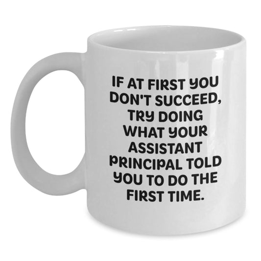 Funny Assistant Principal Gifts from Friends - If At First You Don't Succeed, White Coffee Mug for Birthday - Gifts for Assistant Principal - Main