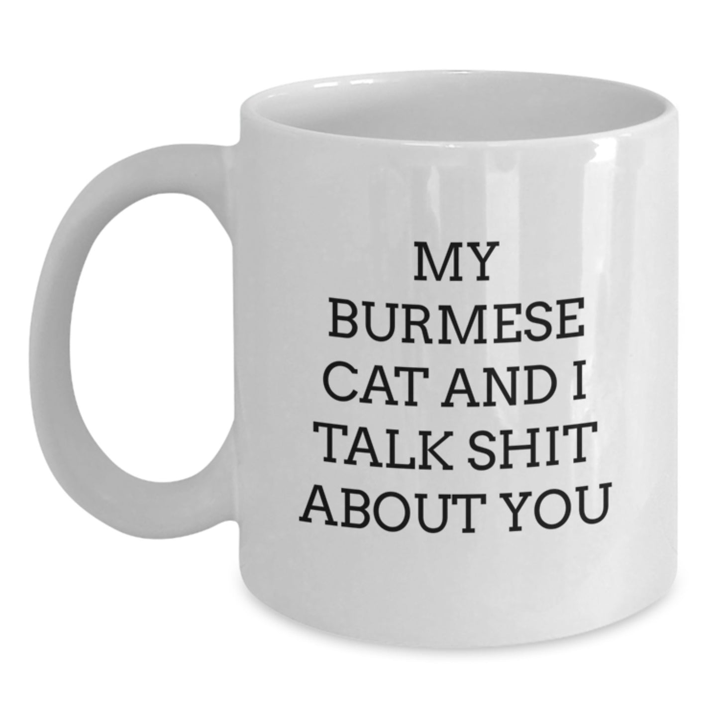 Funny Burmese Cat Gifts for Her, White Coffee Mug with My Burmese Cat And I Talk Shit About You Quote, Unique Mother's Day Unique Gifts from Friends - Main