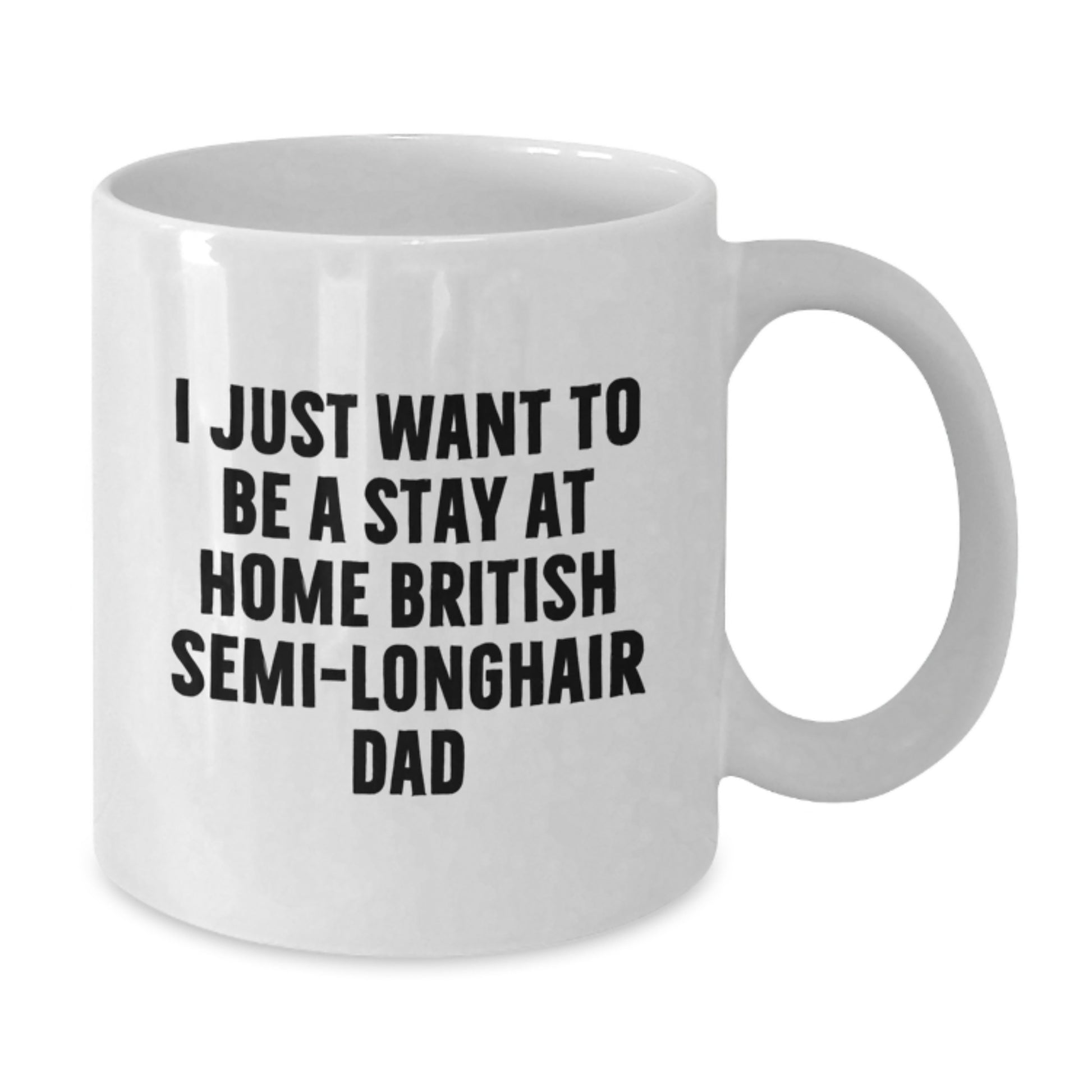 British Semi-Longhair Cat Dad's Funny White Coffee Mug Gifts from Friends for Graduation - I Just Want To Be A Stay At Home British Semi-longhair Dad - Additional