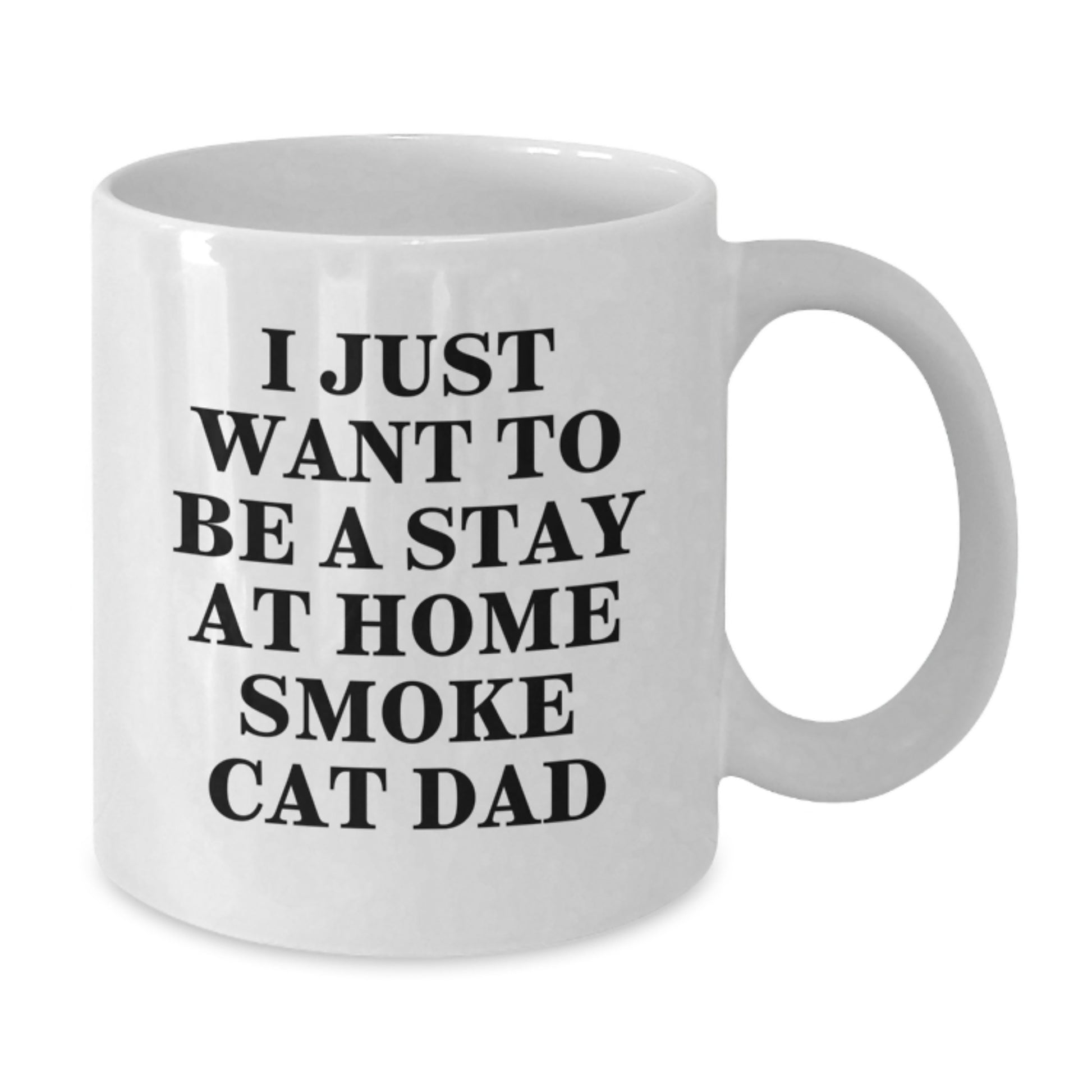 Funny Smoke Cat Gifts from Dad to Son Graduation Unique White Coffee Mugs, 'I Just Want to Be a Stay at Home Smoke Cat Dad' Quote, 11oz or 15oz Ceramic Mug, Microwave and Dishwasher Safe - Additional