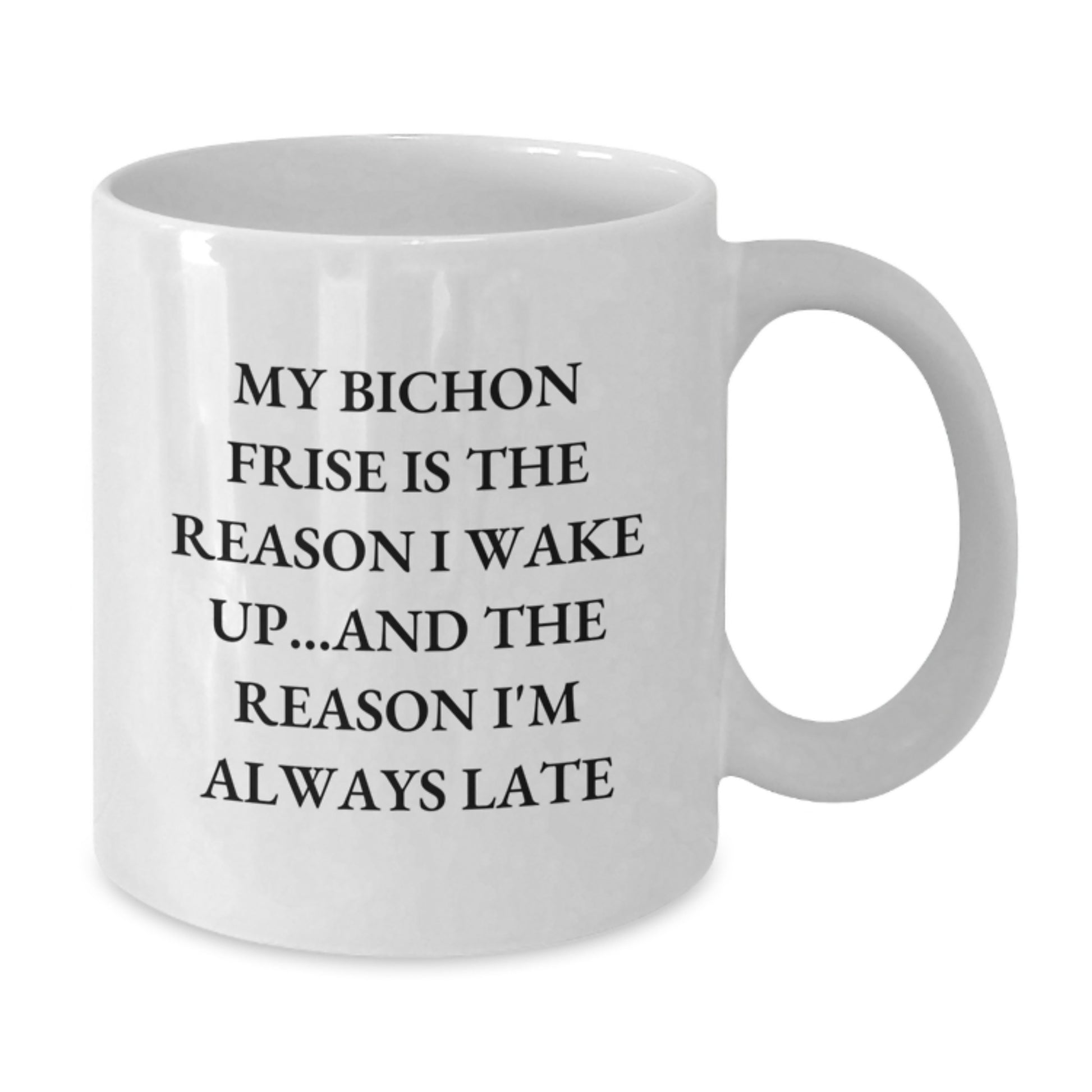 Funny Bichon Frise Dog Gifts from Men, Women, Friends or Family to Bichon Frise Dog Lovers on Birthday Unique Gifts - Additional
